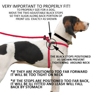 position harness lead