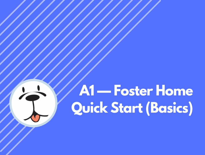 A1 — Foster Home Quick Start (Basics)