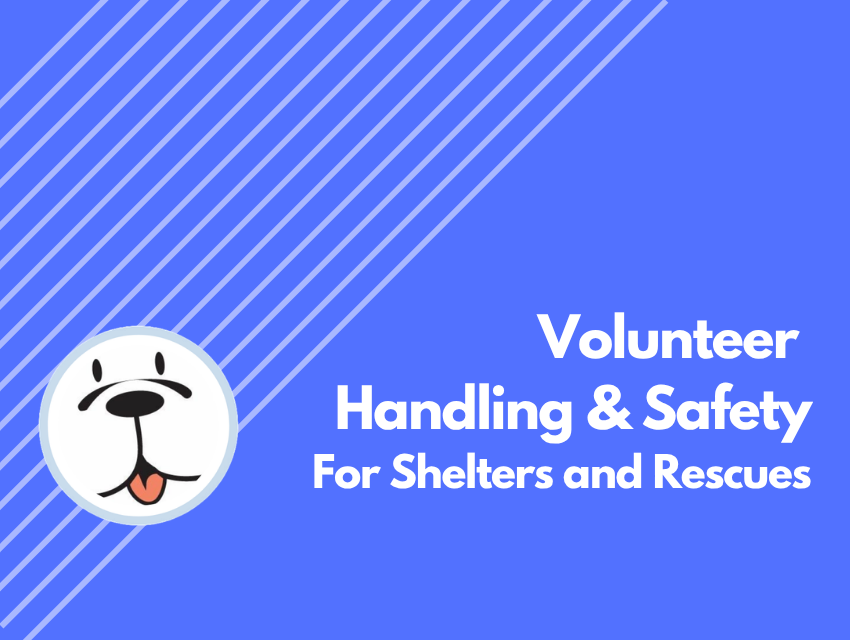 A1 — Foster Home Quick Start (Basics)(1)