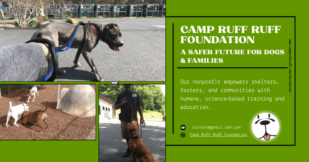 A handler gently interacting with a dog, symbolizing the Foundation’s commitment to humane, evidence‑based behavior education.