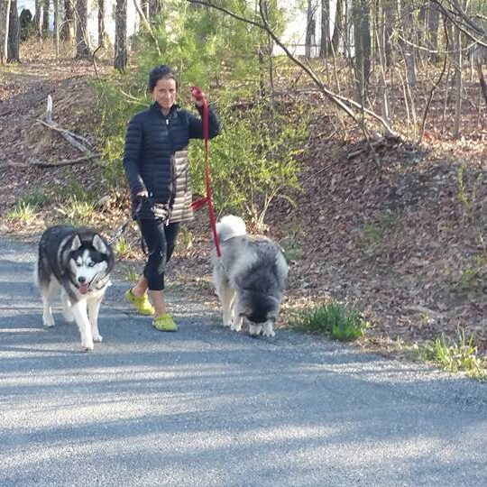 13043772_1145714462125929_5222928062091896243_n